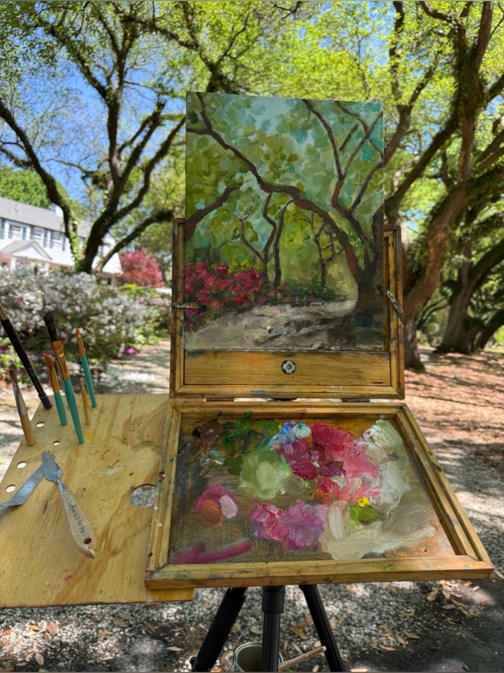Original plein air oil painting of azaleas and a life Oaks